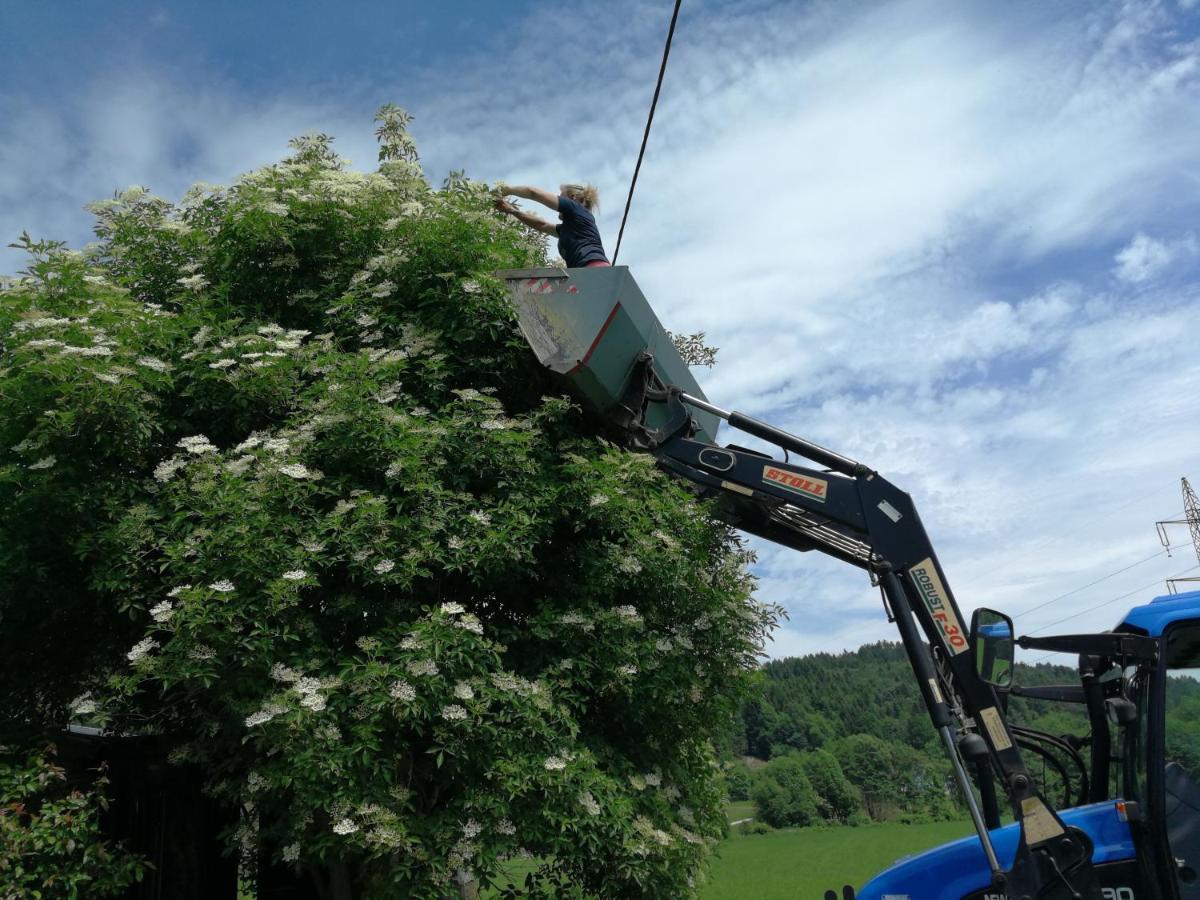 Ferienwohnungen Oranhof Velden am Wörthersee Dış mekan fotoğraf