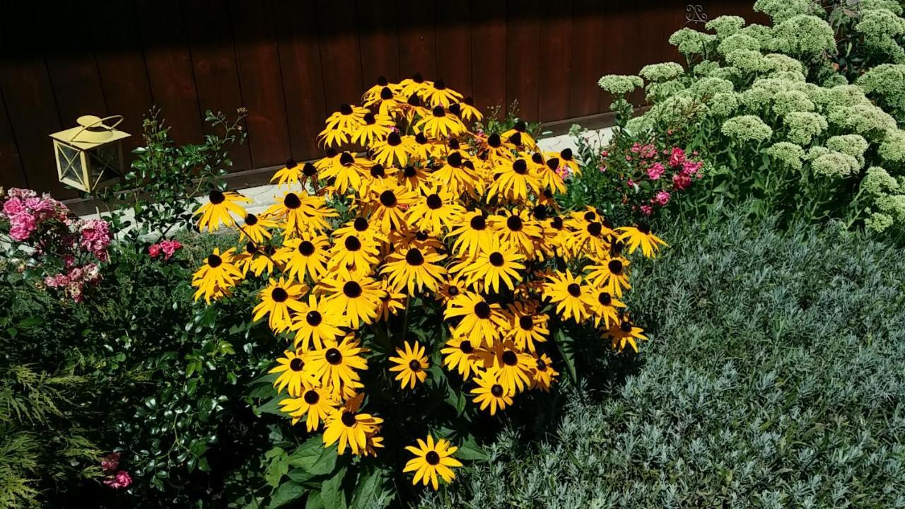 Ferienwohnungen Oranhof Velden am Wörthersee Dış mekan fotoğraf